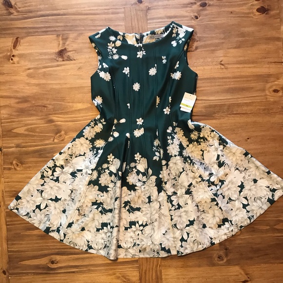 NWT: Danny and Nicole a-line dress w/pockets - Picture 5 of 11